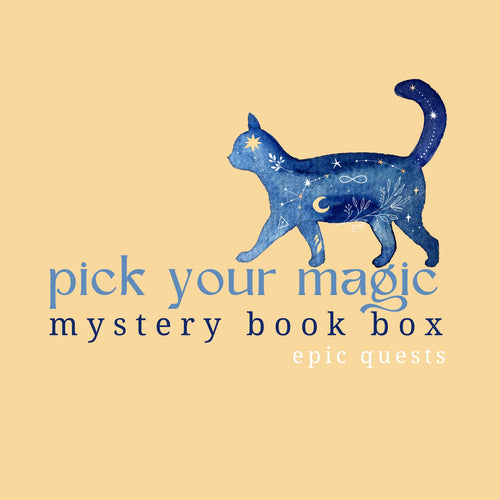 *Pick Your Magic* Mystery Book Box | Epic Quests - Paperbacks & Frybread Co.