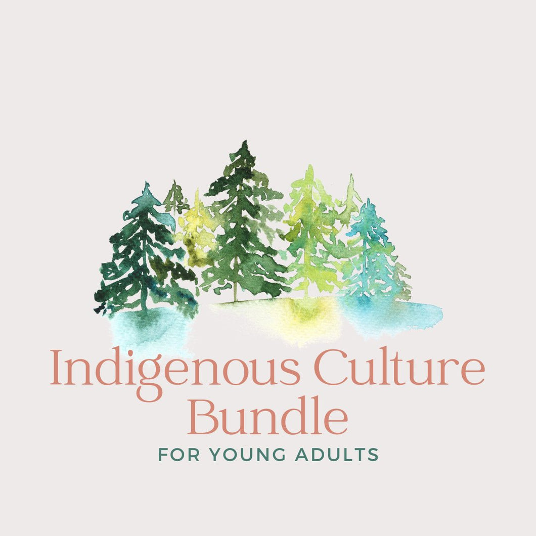 Indigenous Culture YA Bundle | Paperbacks & Frybread Co. - Paperbacks & Frybread Co.