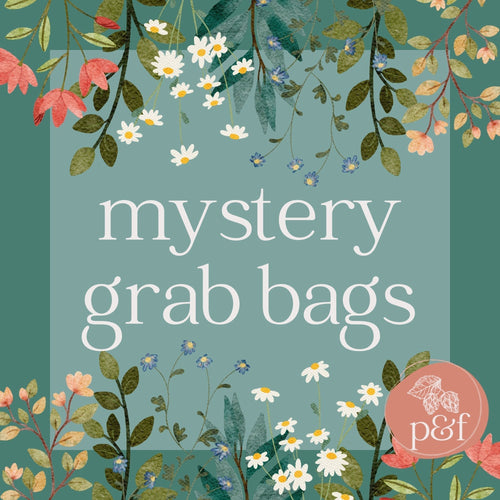 Mystery Grab Bag | Diverse YA/Middle Grade Fiction | #17 - Paperbacks & Frybread Co.