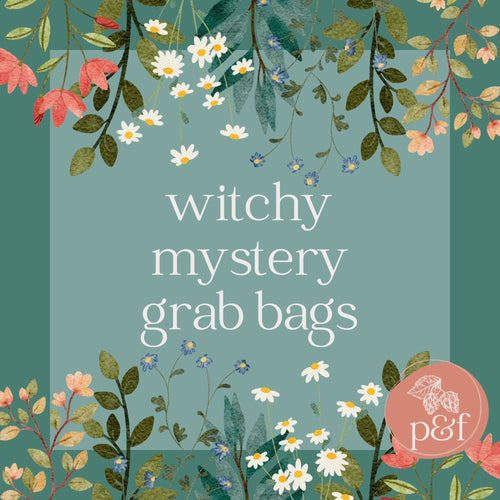 Witchy Mystery Grab Bag | Non-Fiction | Paperbacks & Frybread Co. - Paperbacks & Frybread Co.