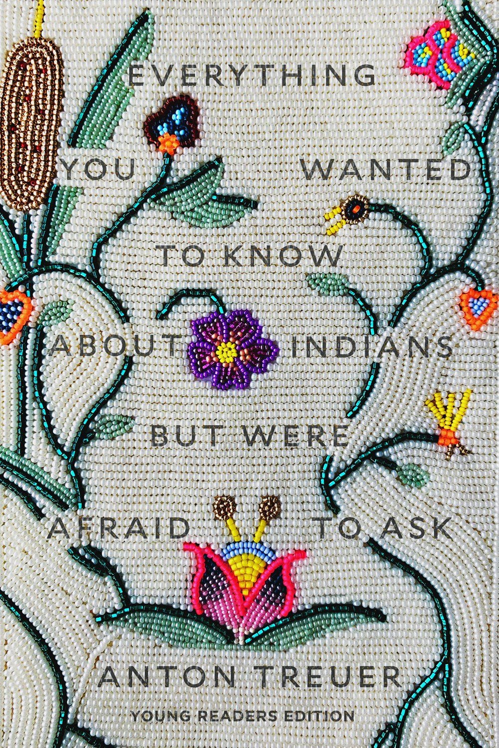 Everything You Wanted to Know About Indians But Were Afraid to Ask : Young Readers Edition by Anton Treuer | Indigenous Non-Fiction - Paperbacks & Frybread Co.