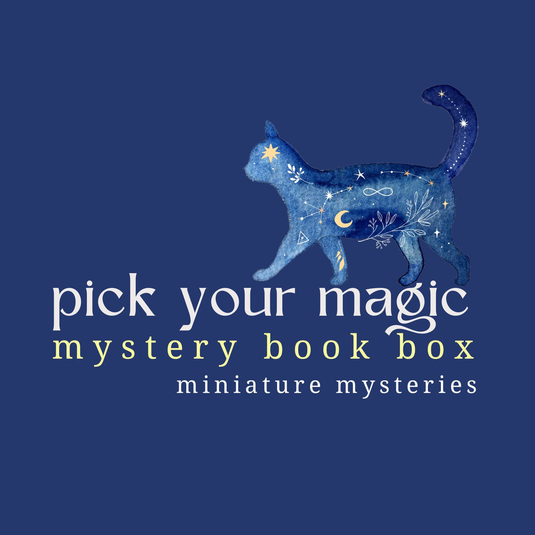 *Pick Your Magic* Mystery Book Box | Miniature Mysteries - Paperbacks & Frybread Co.